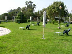 Montazah Salambo